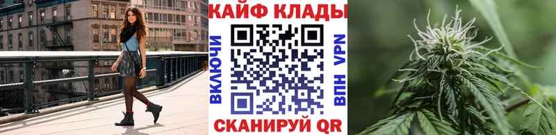Где можно купить наркотики Сланцы Каннабис МЕФ Амфетамин ГАШИШ Псилоцибиновые грибы COCAIN