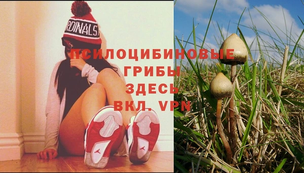 гидропоника Арсеньев