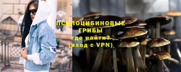 прущая мука Армянск