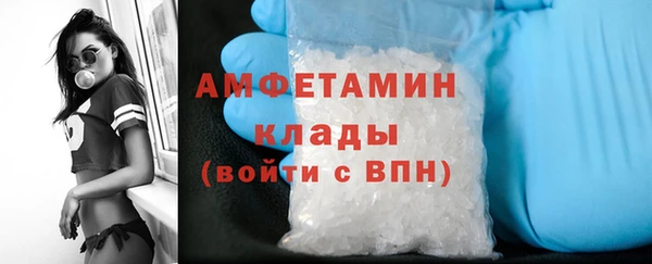 ECSTASY Тайга
