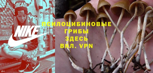 гидропоника Арсеньев