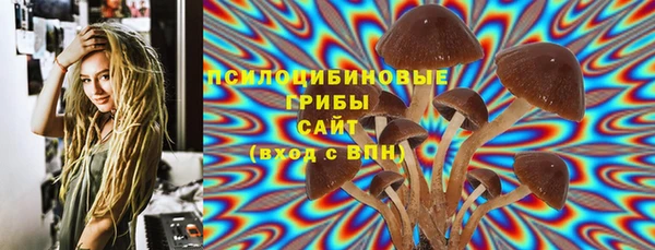 молекула духа Аркадак