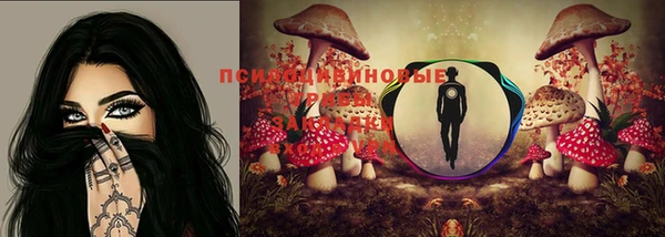 молекула духа Аркадак