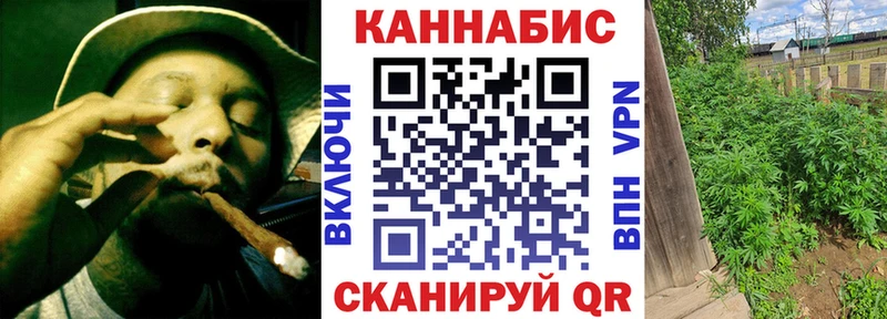 купить закладку  Сланцы  Канабис семена 